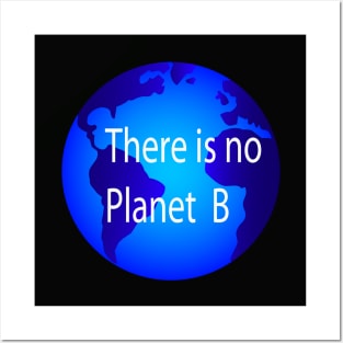 There is no planet B Posters and Art